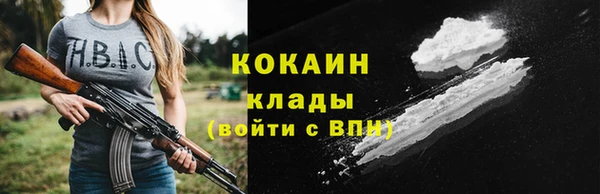 индика Ростов