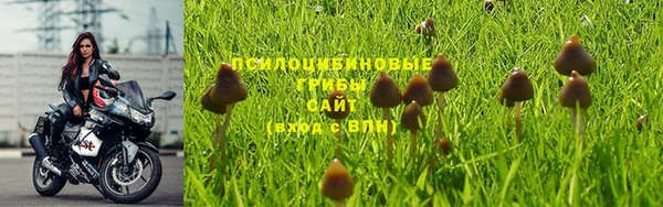 молекула духа Беломорск