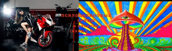 тгк Рославль
